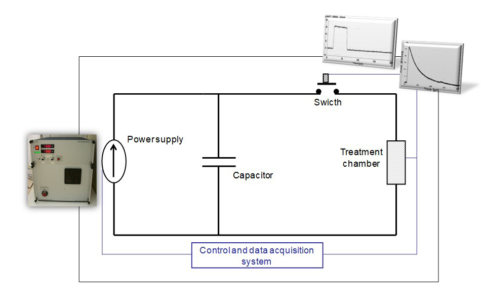 How does PEF work? | Innovative Food Processing